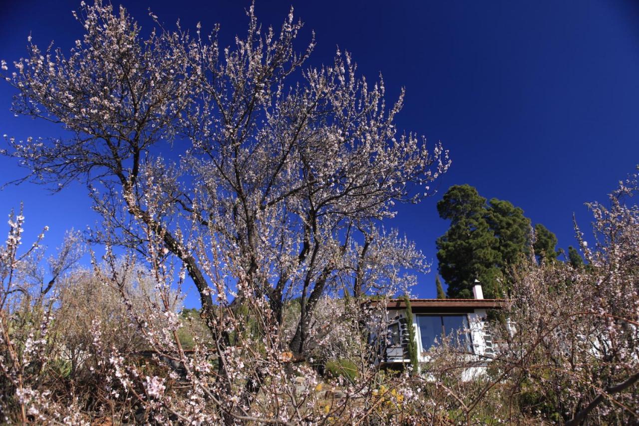 Panorama Suite El Mirador Puntagorda Dış mekan fotoğraf