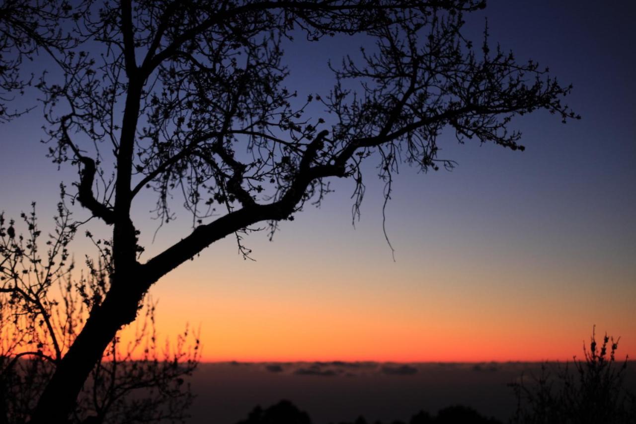 Panorama Suite El Mirador Puntagorda Dış mekan fotoğraf