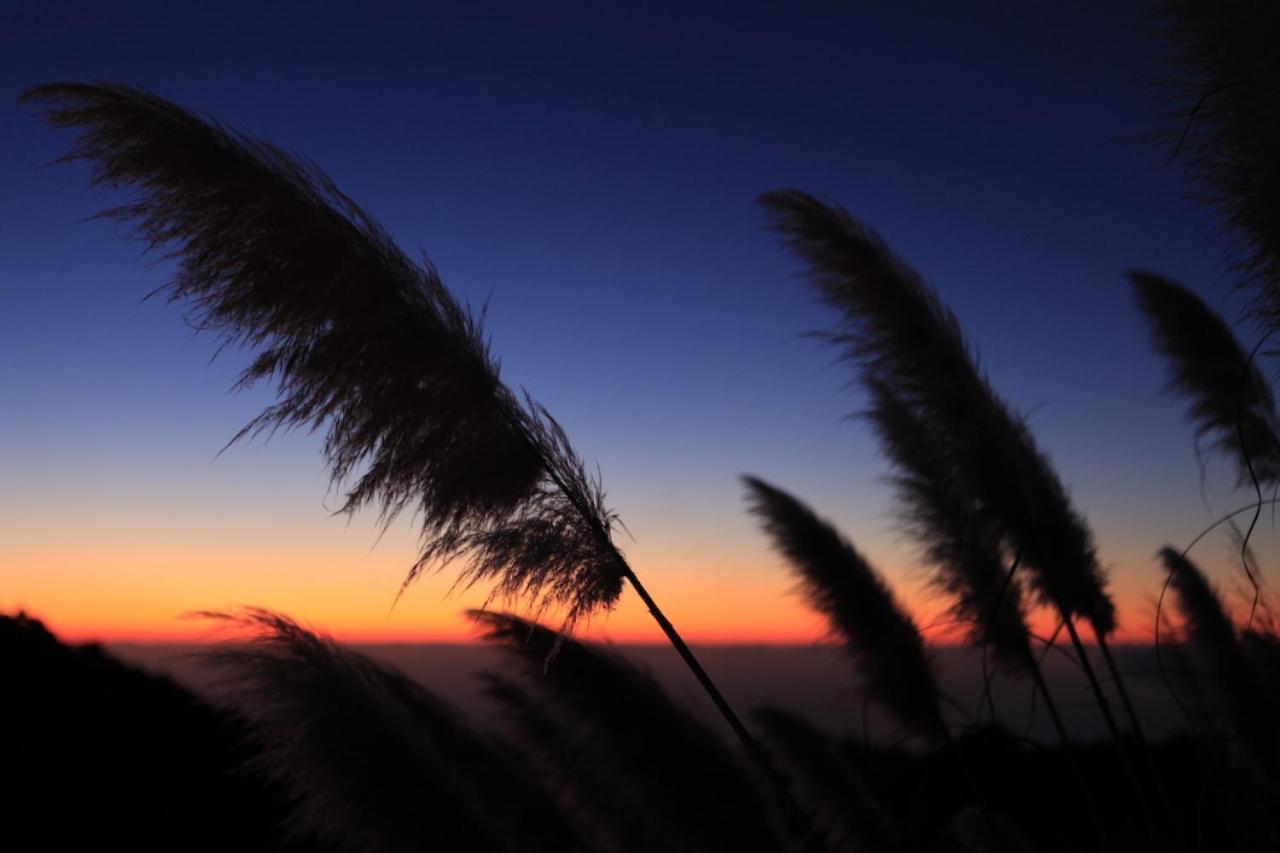 Panorama Suite El Mirador Puntagorda Dış mekan fotoğraf
